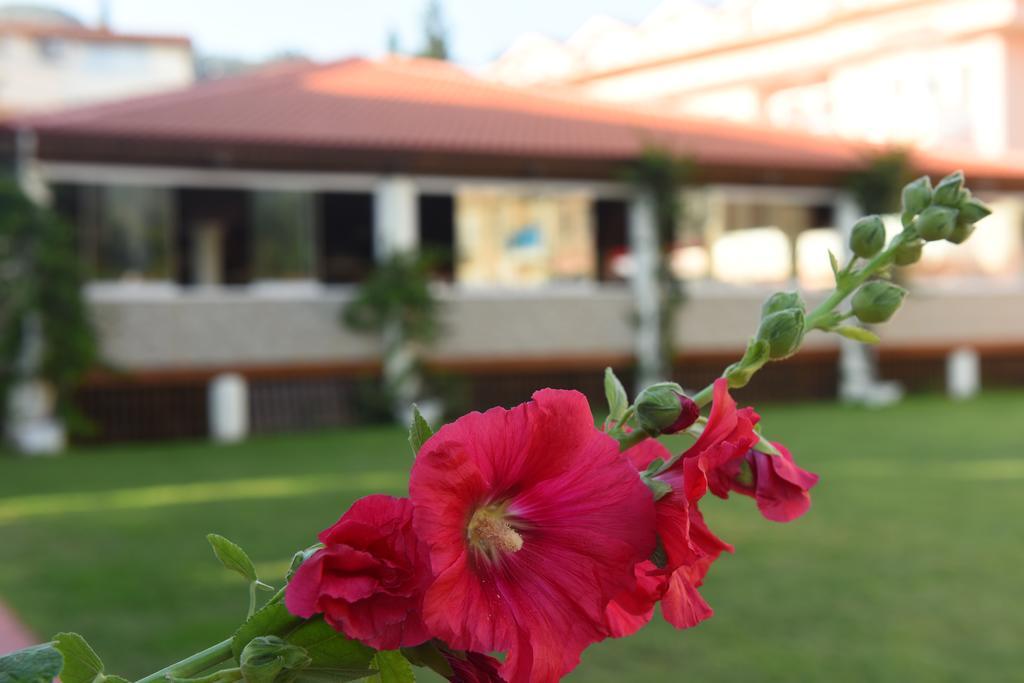 Oludeniz Turquoise Hotel Exteriér fotografie